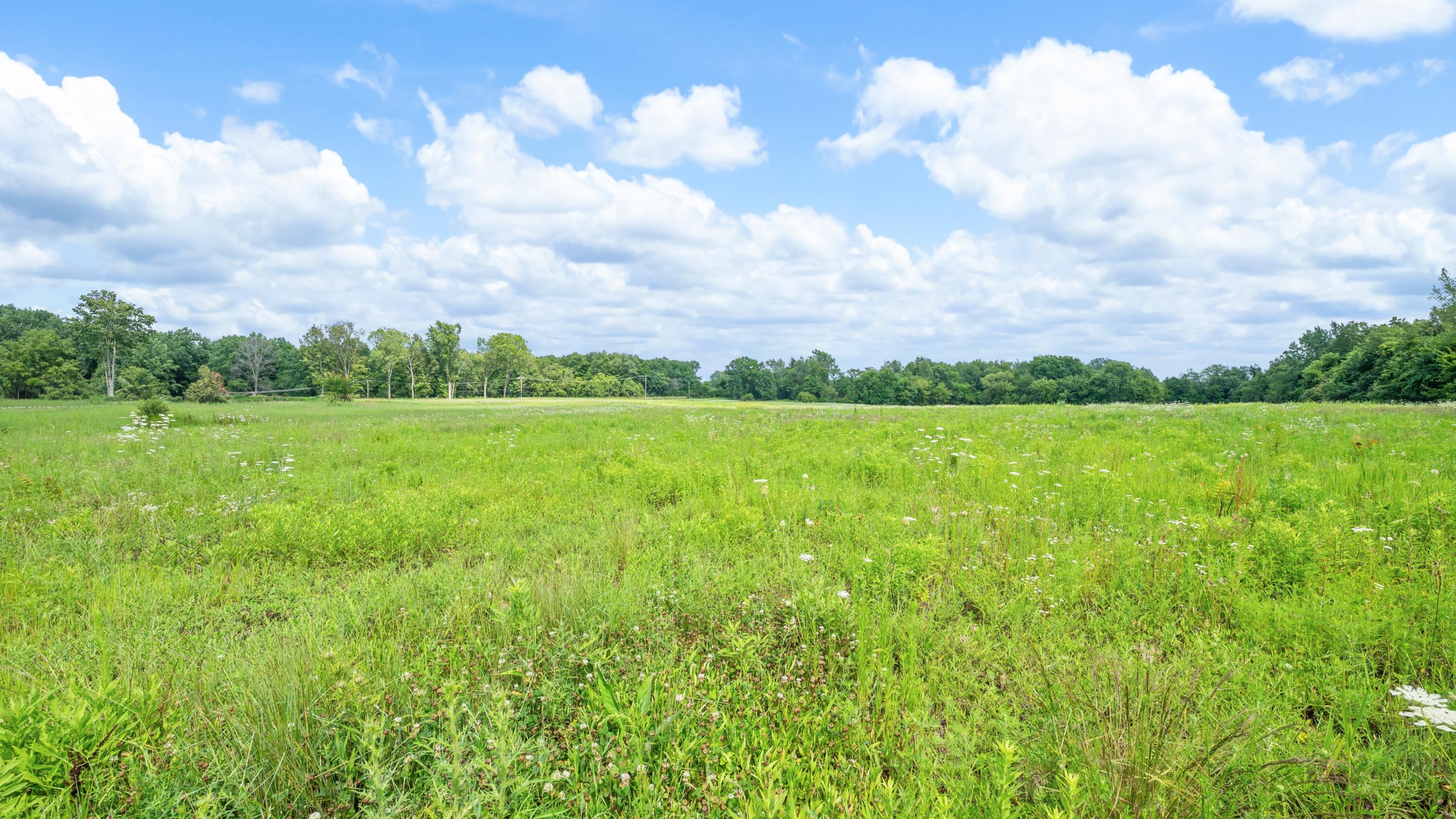 Mayflower Road Niles, MI 49120 - Photo 15 of 22 01DSC_5414