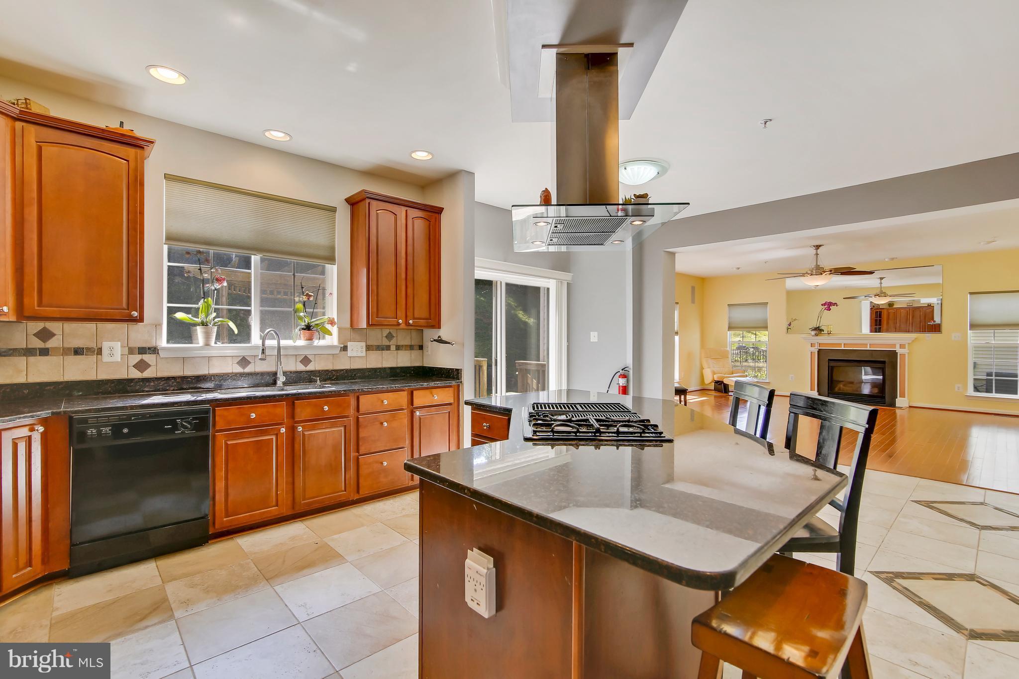 14709 Bubbling Spring Road Boyds, MD 20841 - Photo 5 of 30 Kitchen