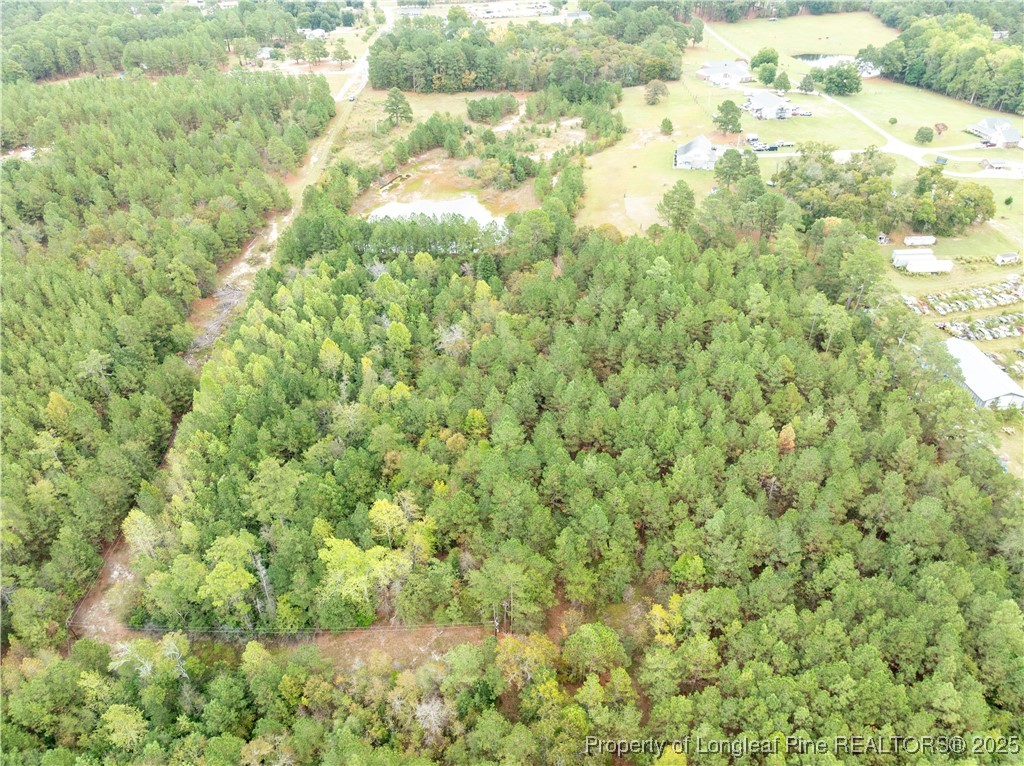 180 Amanda Lane Rockingham, NC 28379 - Photo 11 of 25 a view of a yard with a tree