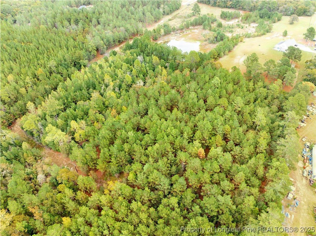 180 Amanda Lane Rockingham, NC 28379 - Photo 12 of 25 a view of a big yard with plants and large trees