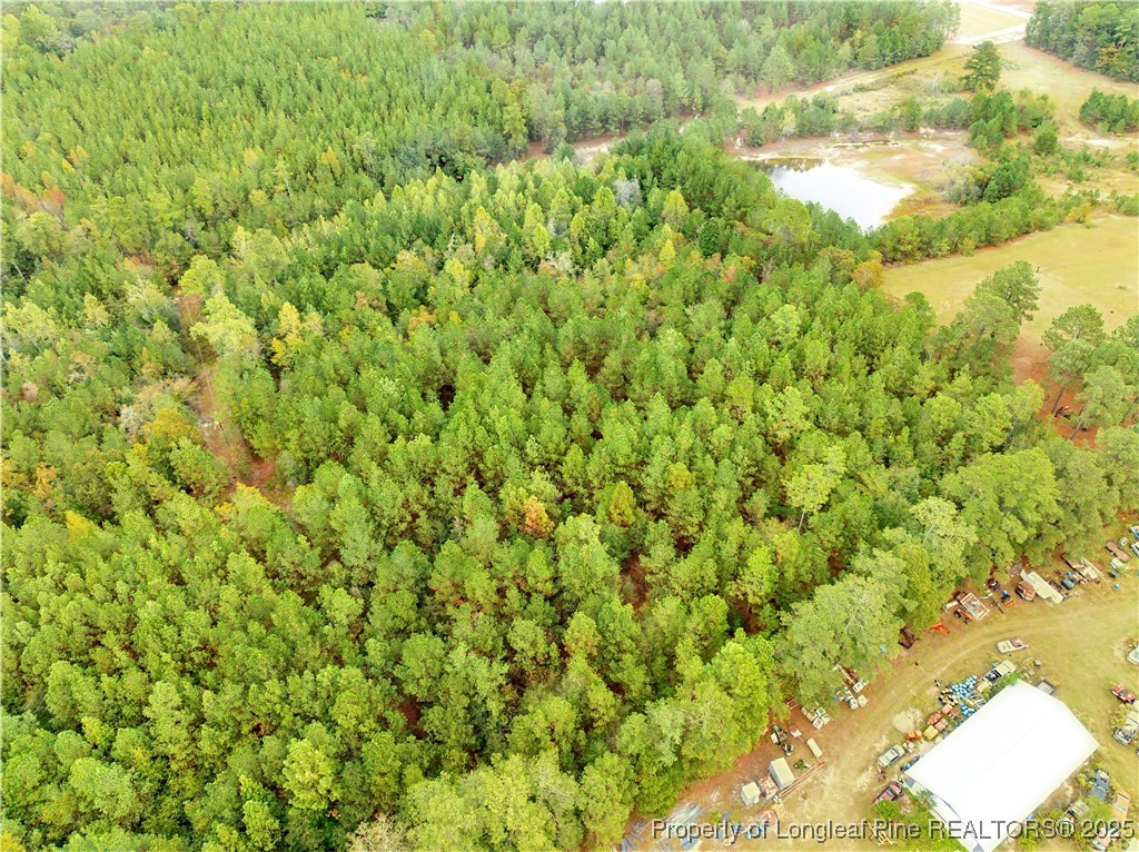 180 Amanda Lane Rockingham, NC 28379 - Photo 13 of 25 a view of a lush green field