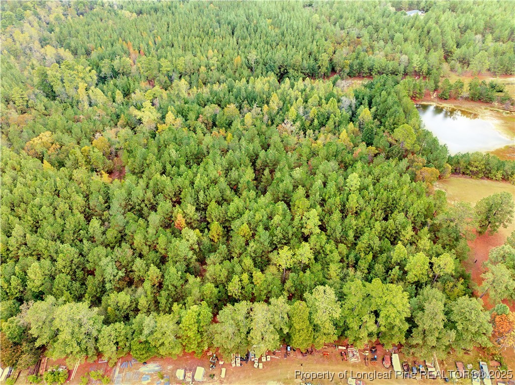 180 Amanda Lane Rockingham, NC 28379 - Photo 14 of 25 a view of a yard with plants and wooden fence