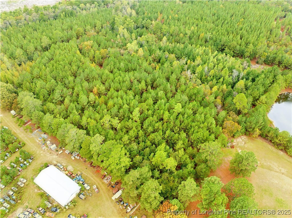 180 Amanda Lane Rockingham, NC 28379 - Photo 15 of 25 a view of a bunch of trees and bushes