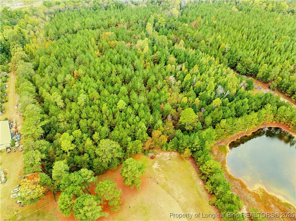 180 Amanda Lane Rockingham, NC 28379 - Photo 16 of 25 a view of a yard with a tree