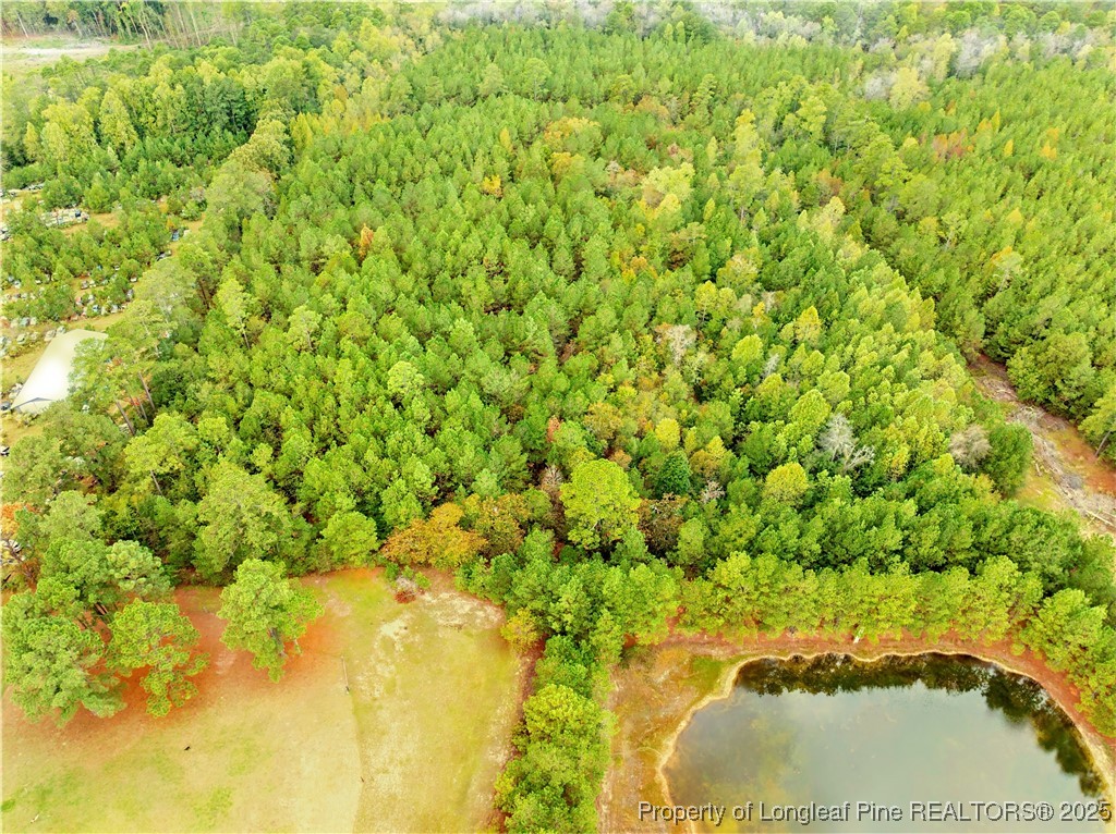 180 Amanda Lane Rockingham, NC 28379 - Photo 17 of 25