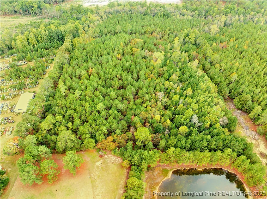 180 Amanda Lane Rockingham, NC 28379 - Photo 18 of 25 a view of a bunch of trees and bushes