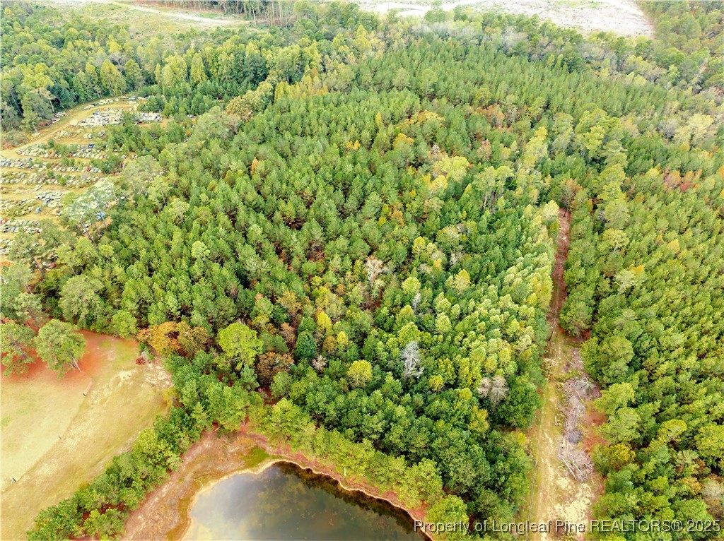 180 Amanda Lane Rockingham, NC 28379 - Photo 19 of 25 a view of a yard with a tree