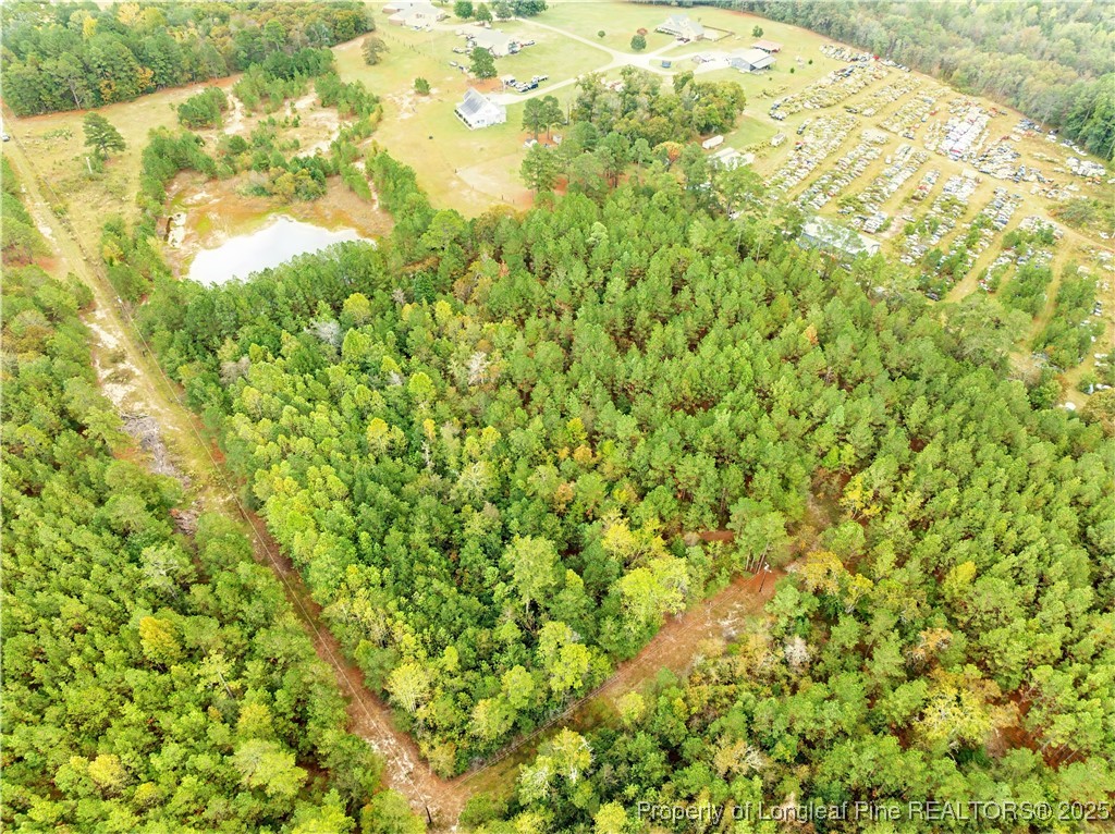 180 Amanda Lane Rockingham, NC 28379 - Photo 20 of 25 a view of a big yard with plants and large trees