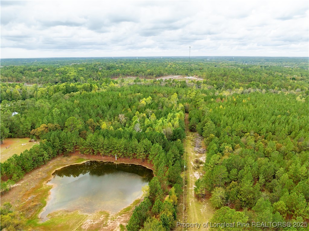 180 Amanda Lane Rockingham, NC 28379 - Photo 2 of 25 a view of a garden with a small pool