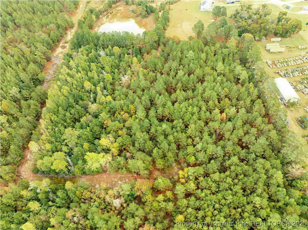 180 Amanda Lane Rockingham, NC 28379 - Photo 21 of 25 a view of a big yard with plants and large trees