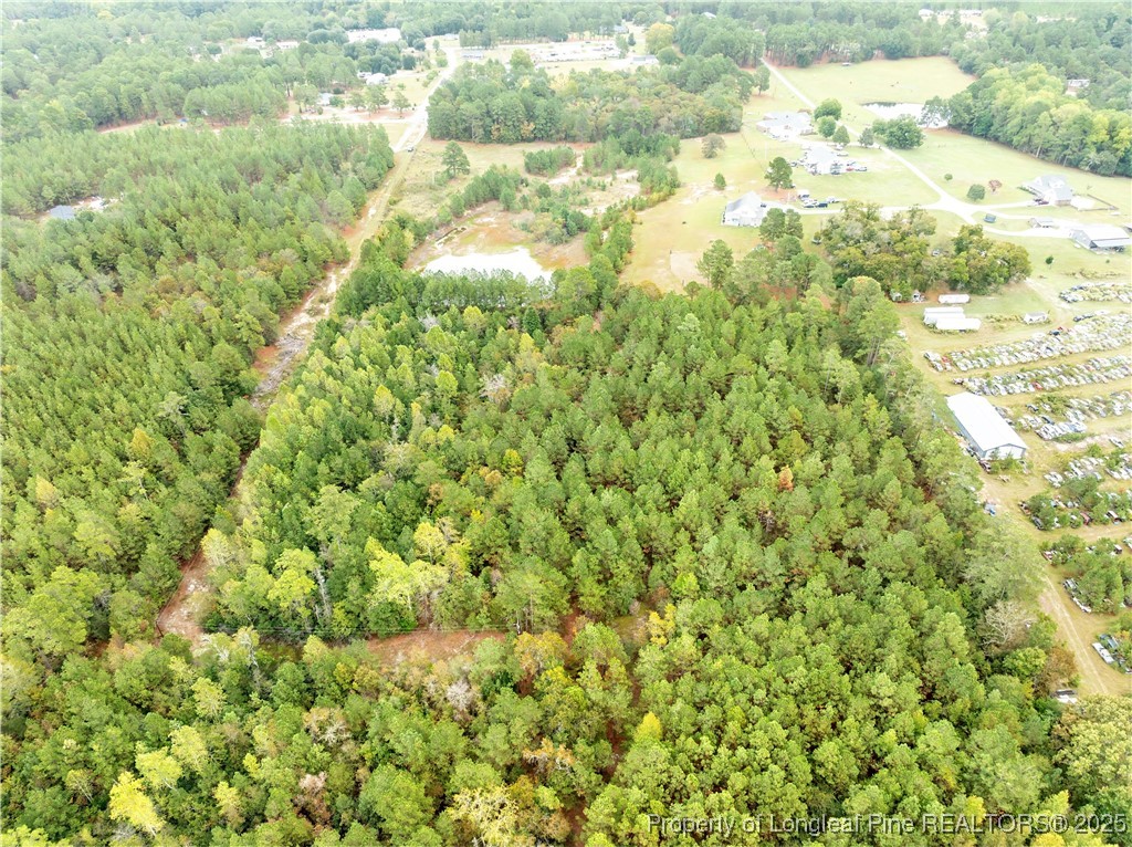 180 Amanda Lane Rockingham, NC 28379 - Photo 22 of 25 a view of a yard with a tree