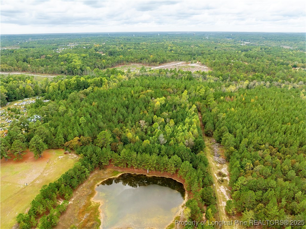 180 Amanda Lane Rockingham, NC 28379 - Photo 3 of 25 a view of a lake with a city