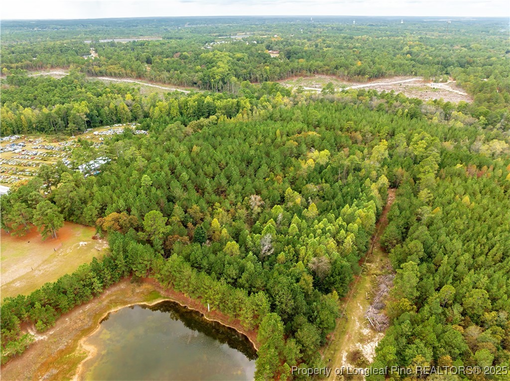 180 Amanda Lane Rockingham, NC 28379 - Photo 4 of 25 a view of a lake with a lush green field