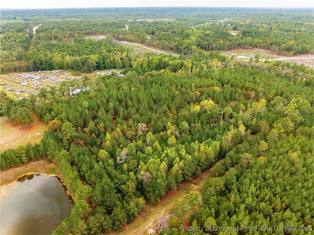 180 Amanda Lane Rockingham, NC 28379 - Photo 5 of 25 a view of a green field with lots of trees