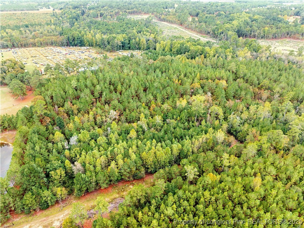 180 Amanda Lane Rockingham, NC 28379 - Photo 6 of 25 a view of a yard with an outdoor space