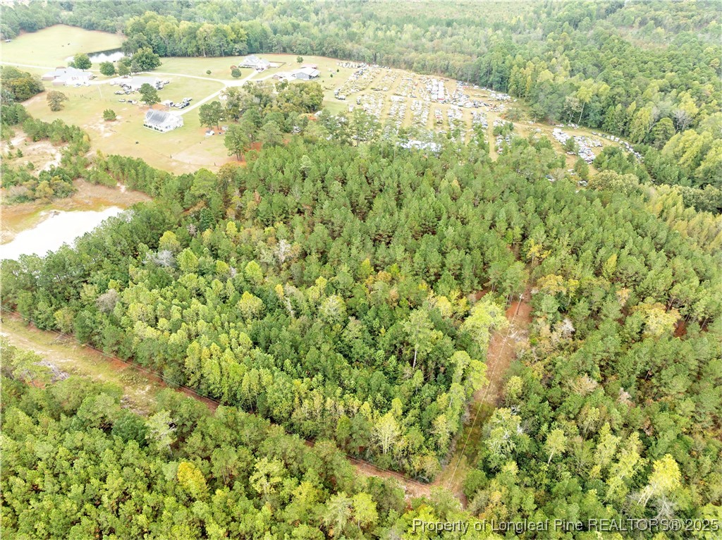 180 Amanda Lane Rockingham, NC 28379 - Photo 8 of 25 a view of a yard with a tree