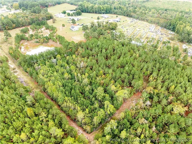 a view of a big yard with large trees