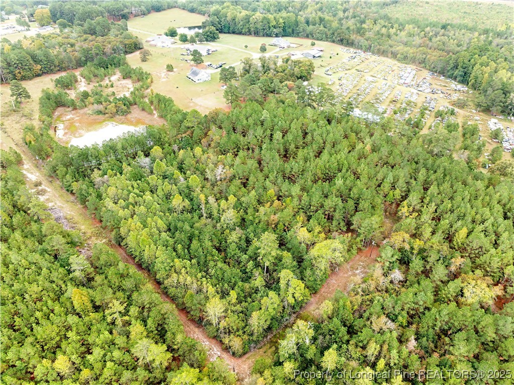 180 Amanda Lane Rockingham, NC 28379 - Photo 9 of 25 a view of a yard with a tree