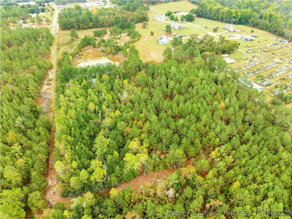 180 Amanda Lane Rockingham, NC 28379 - Photo 10 of 25 a view of a big yard with large trees
