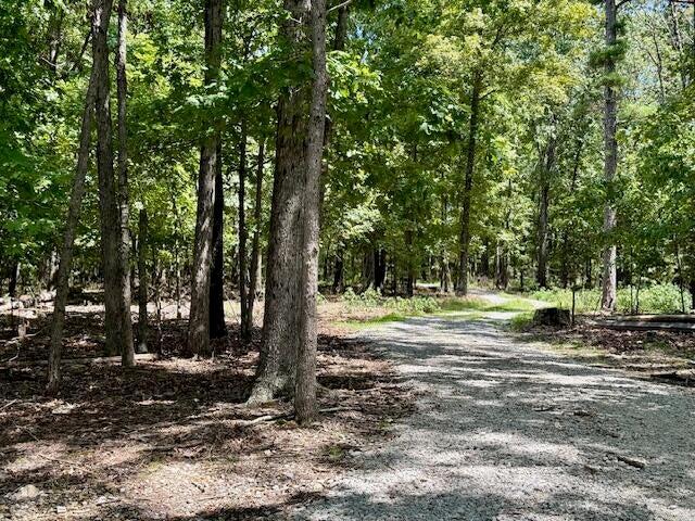16444 Freedom Road Willow Springs, MO 65793 - Photo 47 of 51 20250819220506786243000000-o