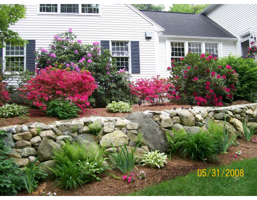 20 Carl Road Walpole, MA 02081 - Photo 5 of 29 Gallery Image 5