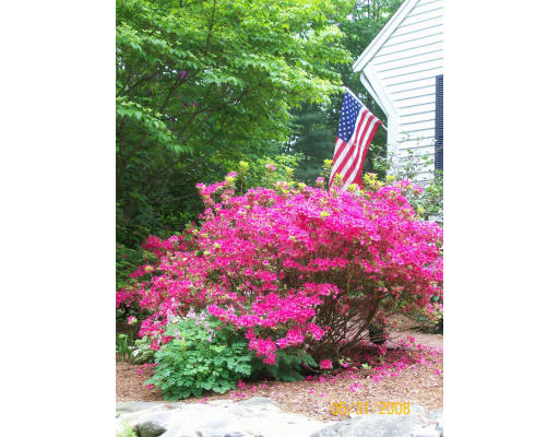 20 Carl Road Walpole, MA 02081 - Photo 6 of 29 Gallery Image 6