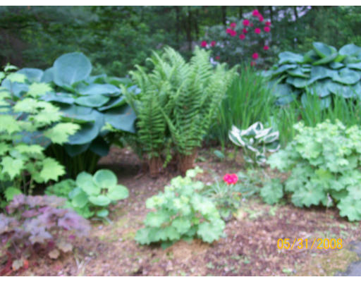 20 Carl Road Walpole, MA 02081 - Photo 7 of 29 Gallery Image 7