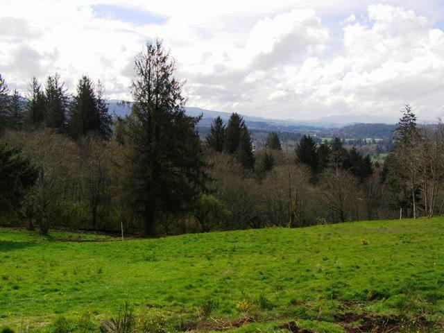 Lot 26 Skyview Road Tillamook, OR 97141 - Photo 10 of 10 20191127235132581211000000-o