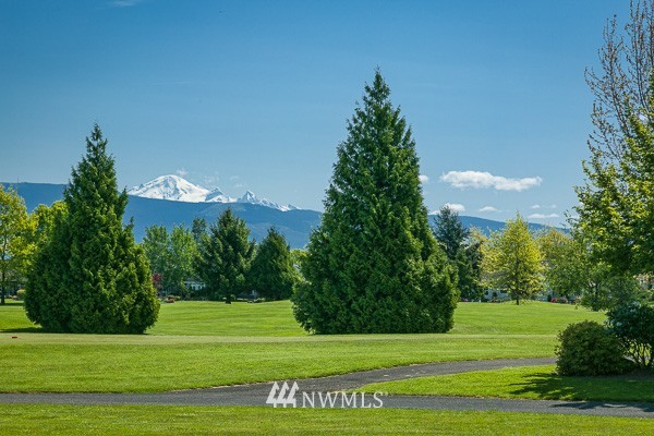 8854 Depot Road, Unit B Lynden, WA 98264 - Photo 22 of 22