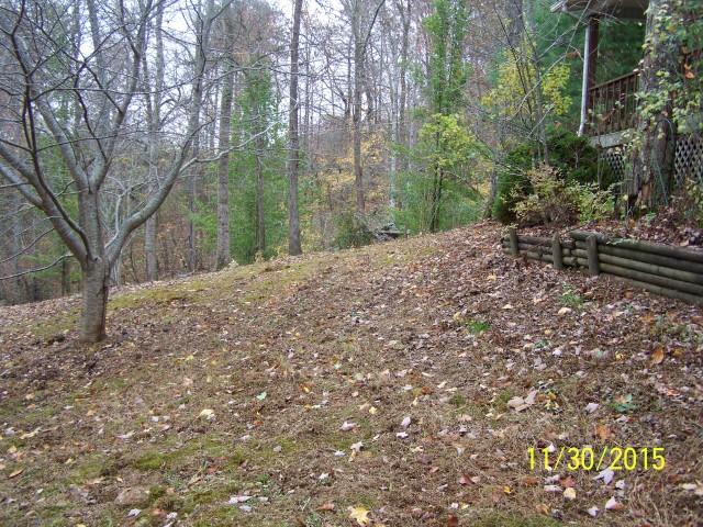 1428 Alderville Road Winfield, TN 37892 - Photo 2 of 3 Aldervill rd front 11 30 15 (Small)