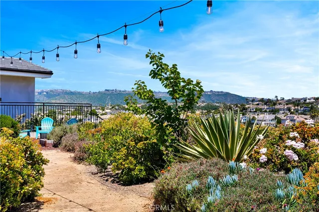 a view of a garden with plants