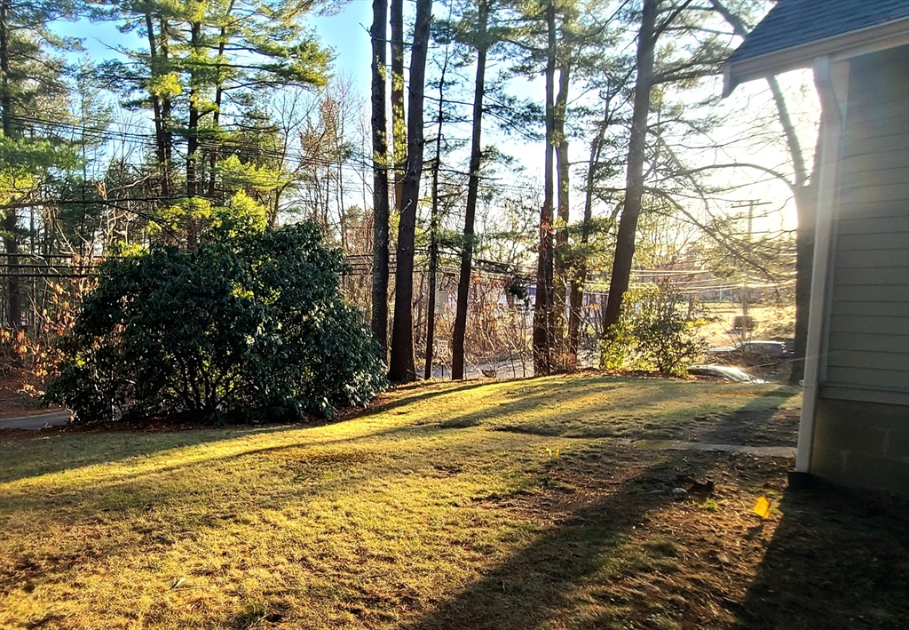 49 Anderson Avenue Middleboro, MA 02346 - Photo 3 of 25 a view of an outdoor space and a yard
