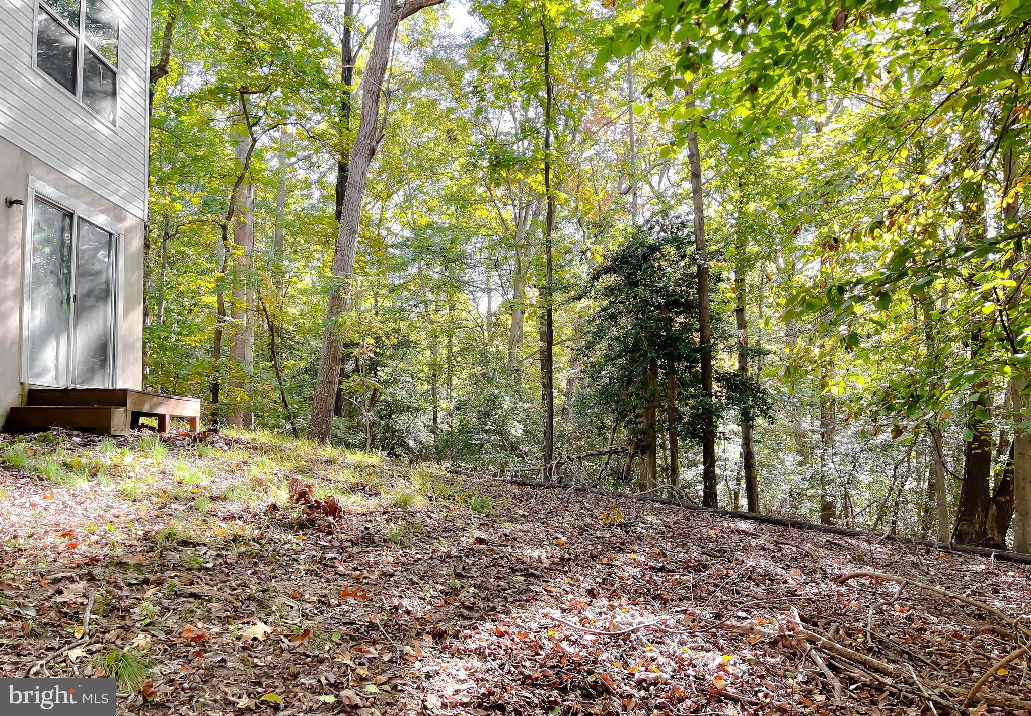 634 Silver Rock Road Lusby, MD 20657 - Photo 48 of 49