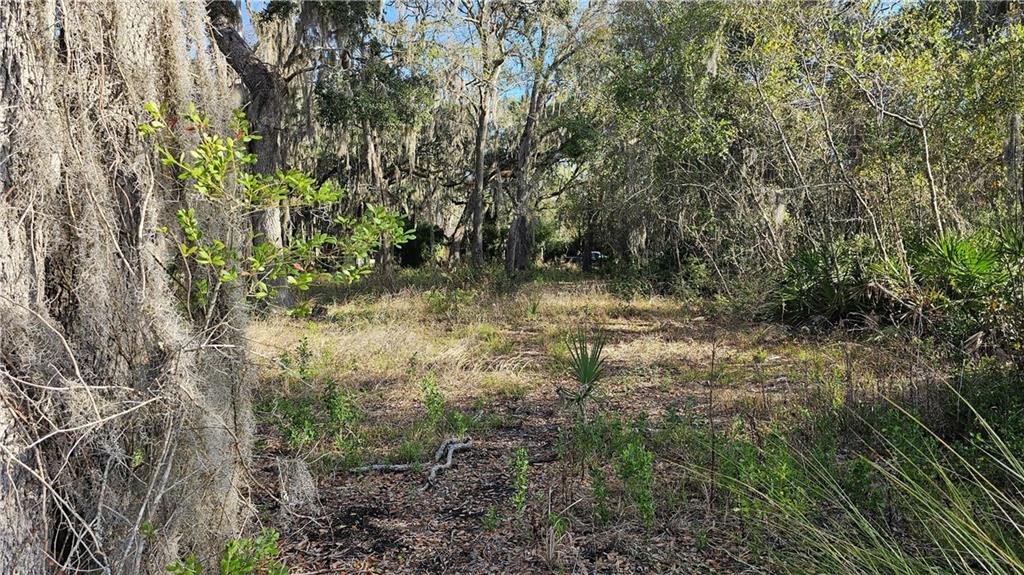 304 Burford Road Brunswick, GA 31523 - Photo 2 of 5
