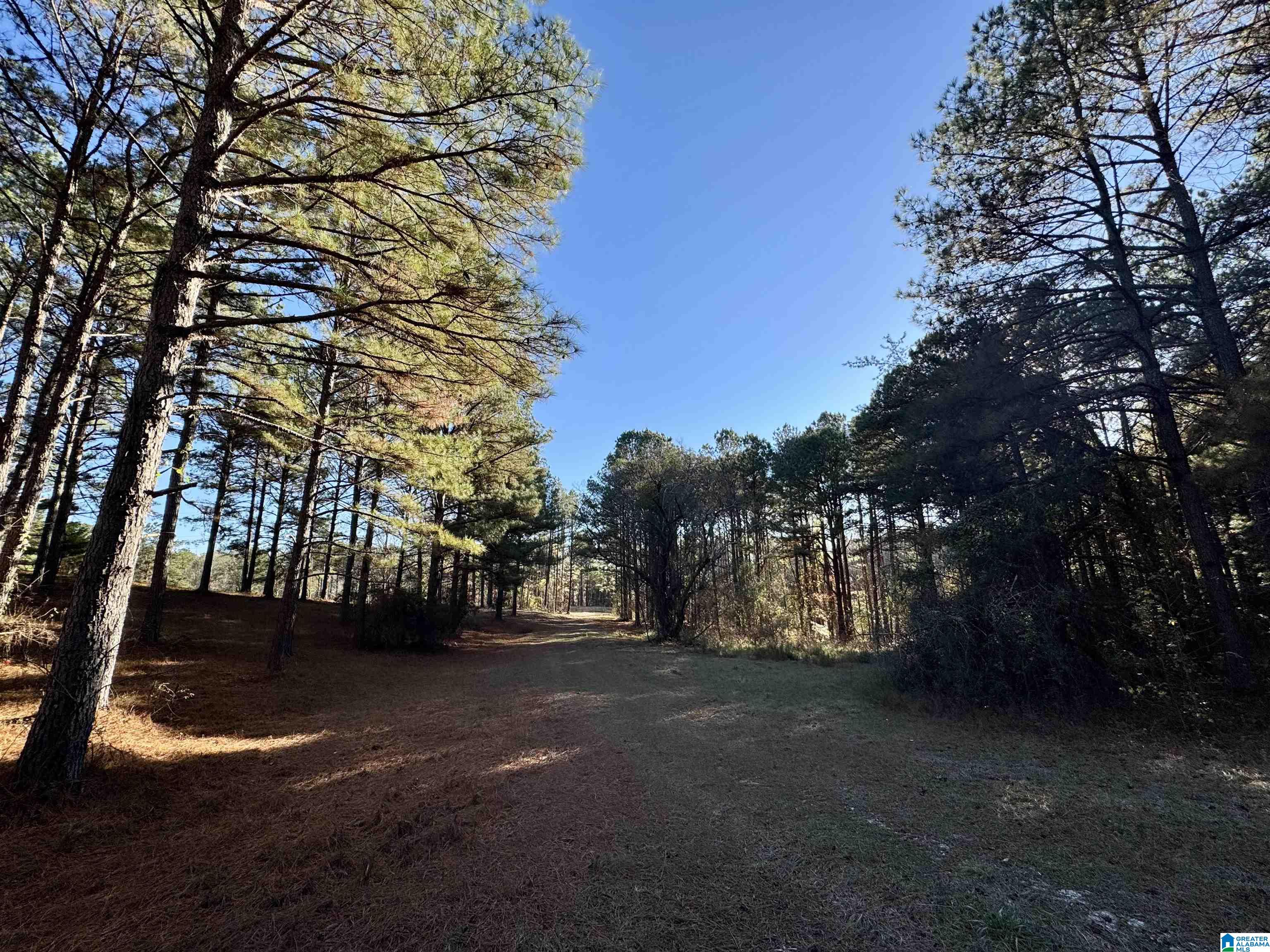 10000 Eastern Valley Road, Unit 10000 West Blocton, AL 35184 - Photo 12 of 21