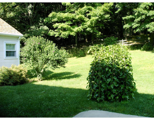 278 Mountain Road Wilbraham, MA 01095 - Photo 8 of 9