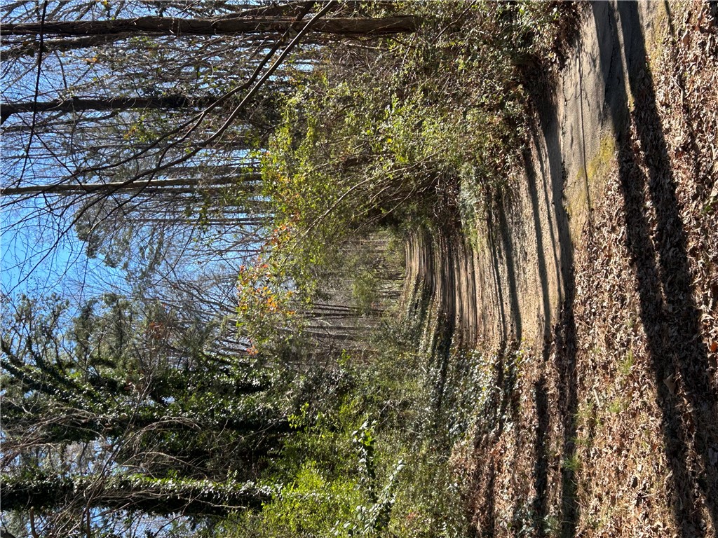 209 Riverbirch Run Clemson, SC 29631 - Photo 50 of 50 Walking Trail that surrounds Country Walk