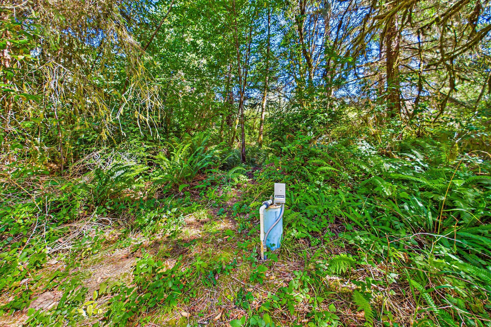 3924 Old Railroad Grade Road McKinleyville, CA 95521 - Photo 55 of 71 55-3924 Old Railroad-148