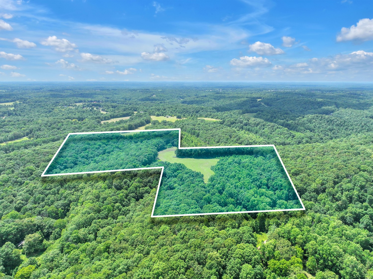 0 Coldwater Road Fairview, TN 37062 - Photo 1 of 14