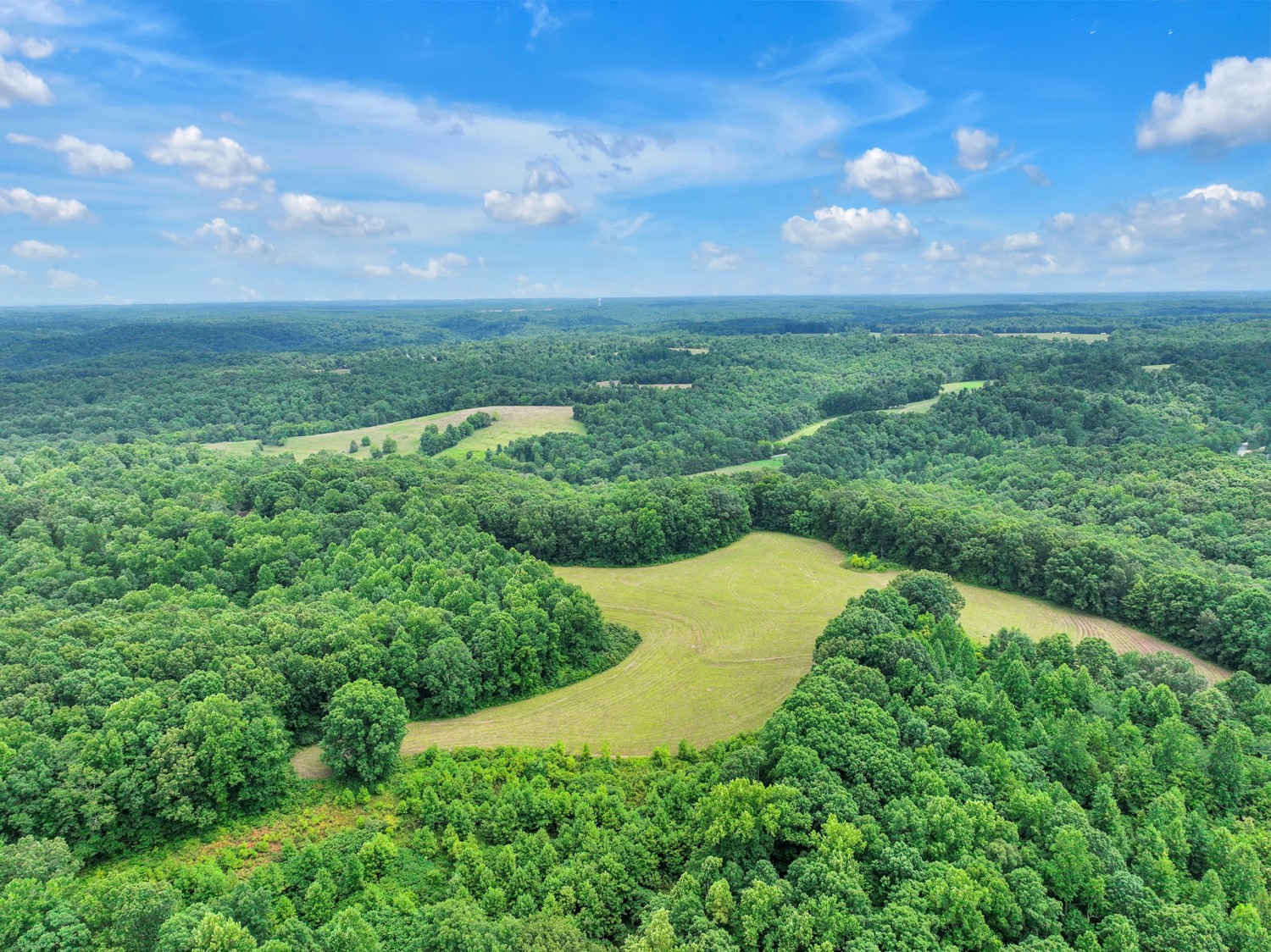0 Coldwater Road Fairview, TN 37062 - Photo 11 of 14