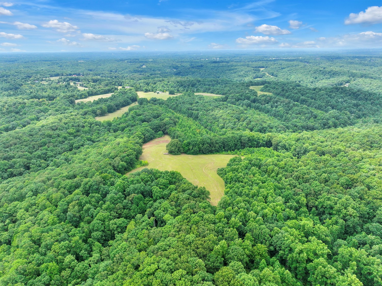 0 Coldwater Road Fairview, TN 37062 - Photo 13 of 14
