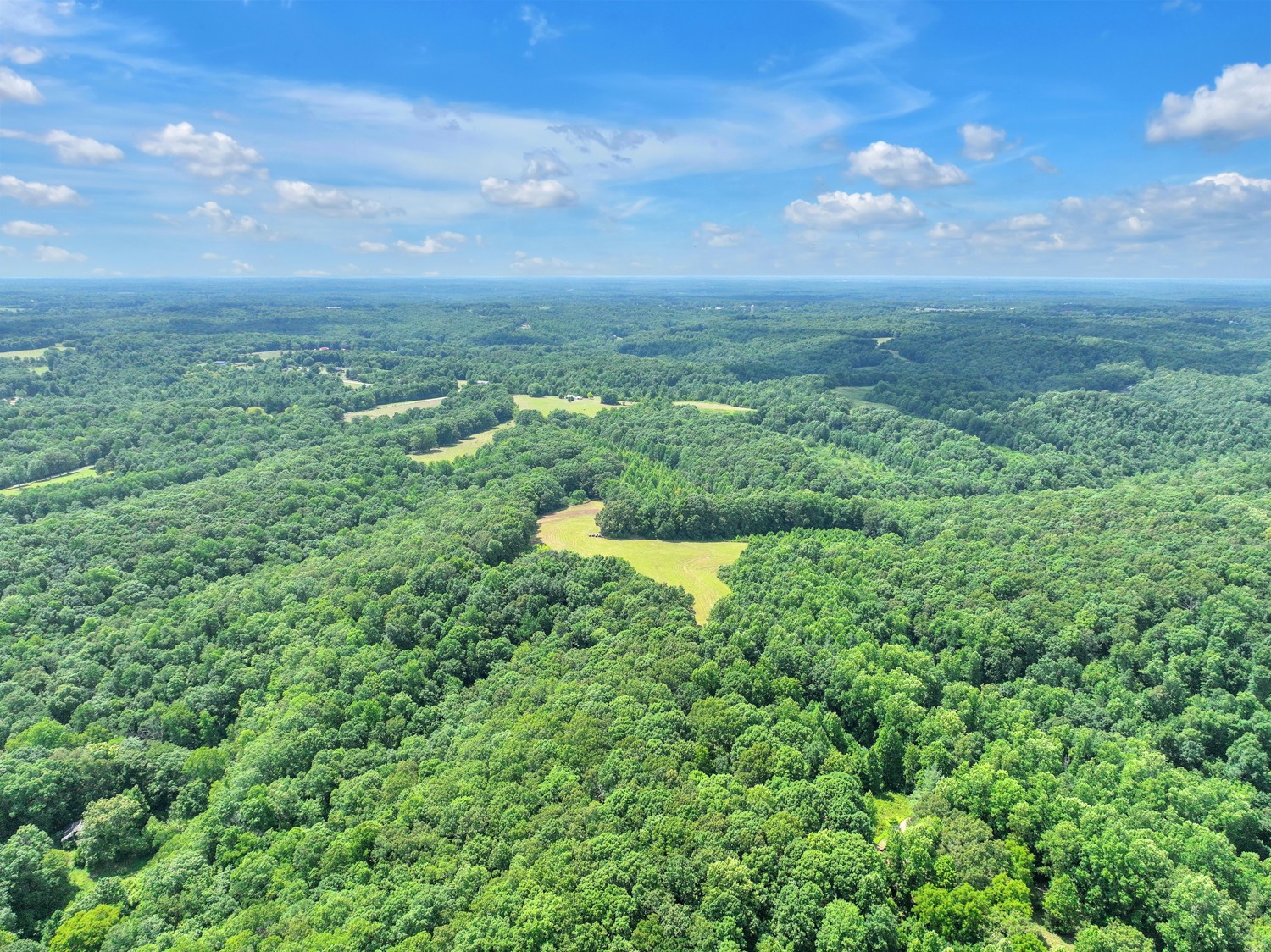 0 Coldwater Road Fairview, TN 37062 - Photo 14 of 14