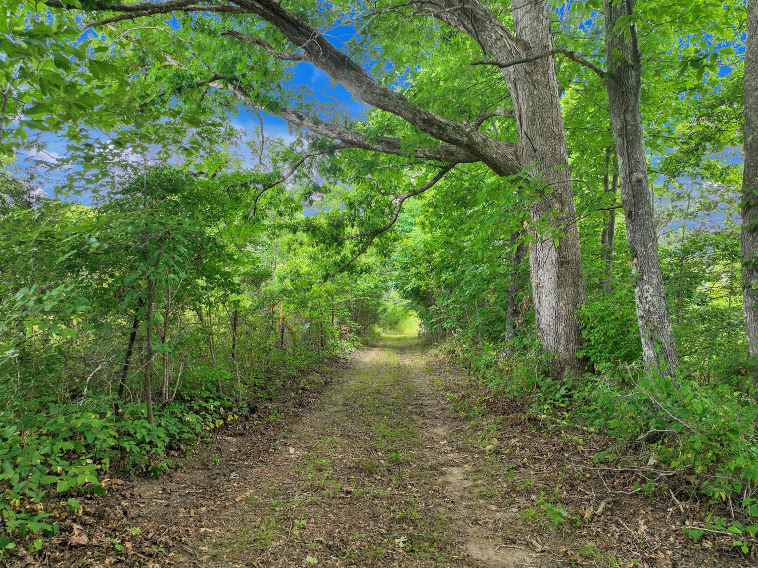 0 Coldwater Road Fairview, TN 37062 - Photo 2 of 14