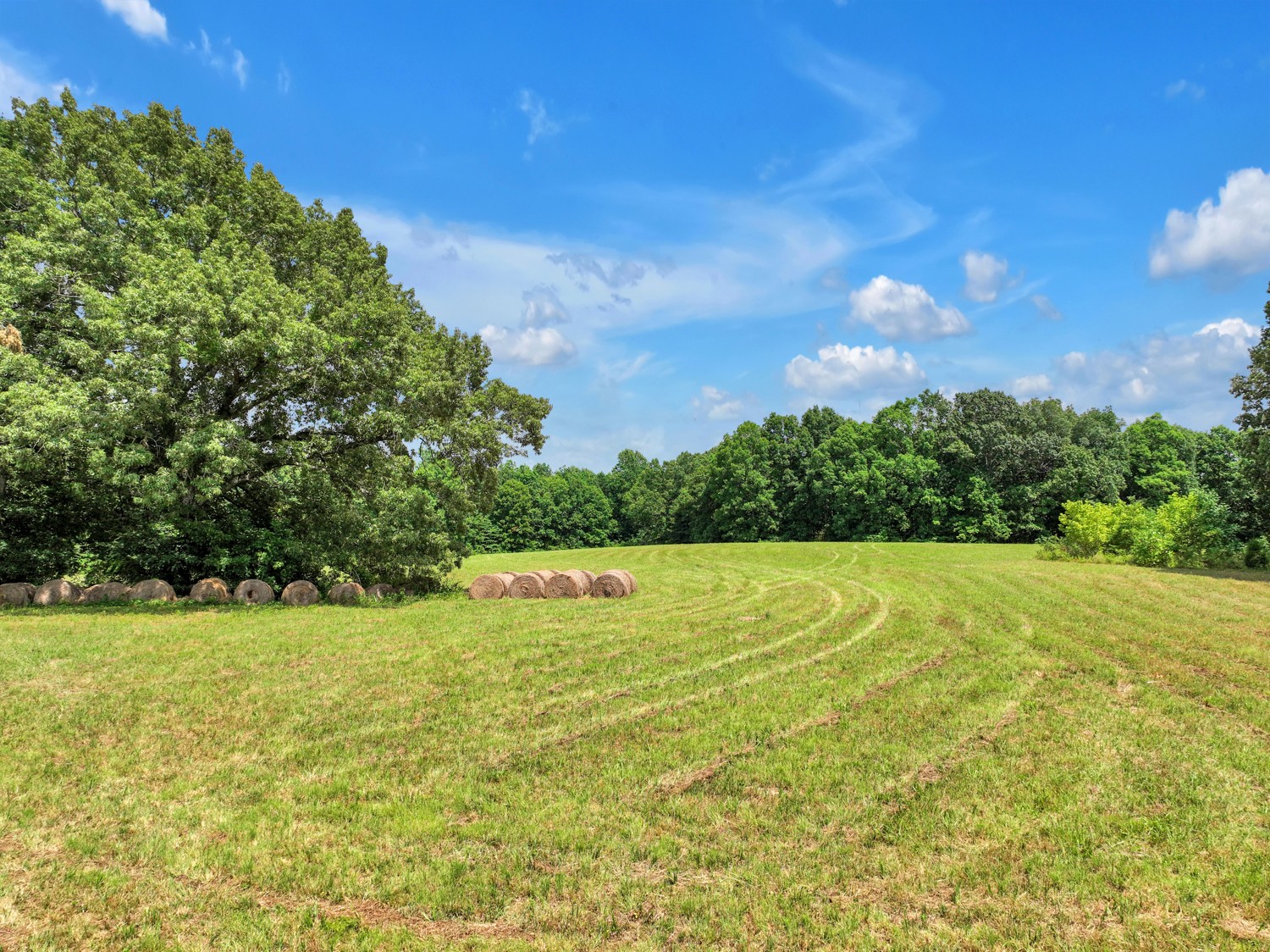 0 Coldwater Road Fairview, TN 37062 - Photo 4 of 14