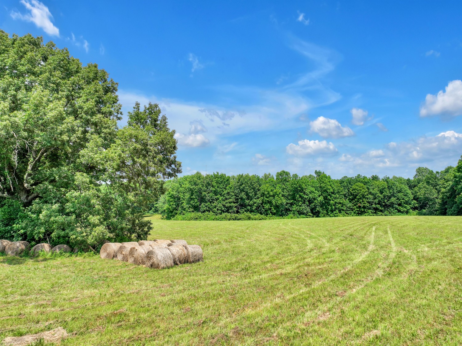0 Coldwater Road Fairview, TN 37062 - Photo 5 of 14