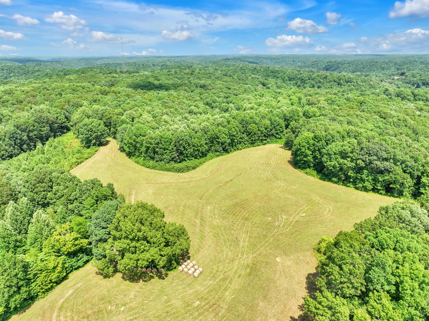 0 Coldwater Road Fairview, TN 37062 - Photo 6 of 14