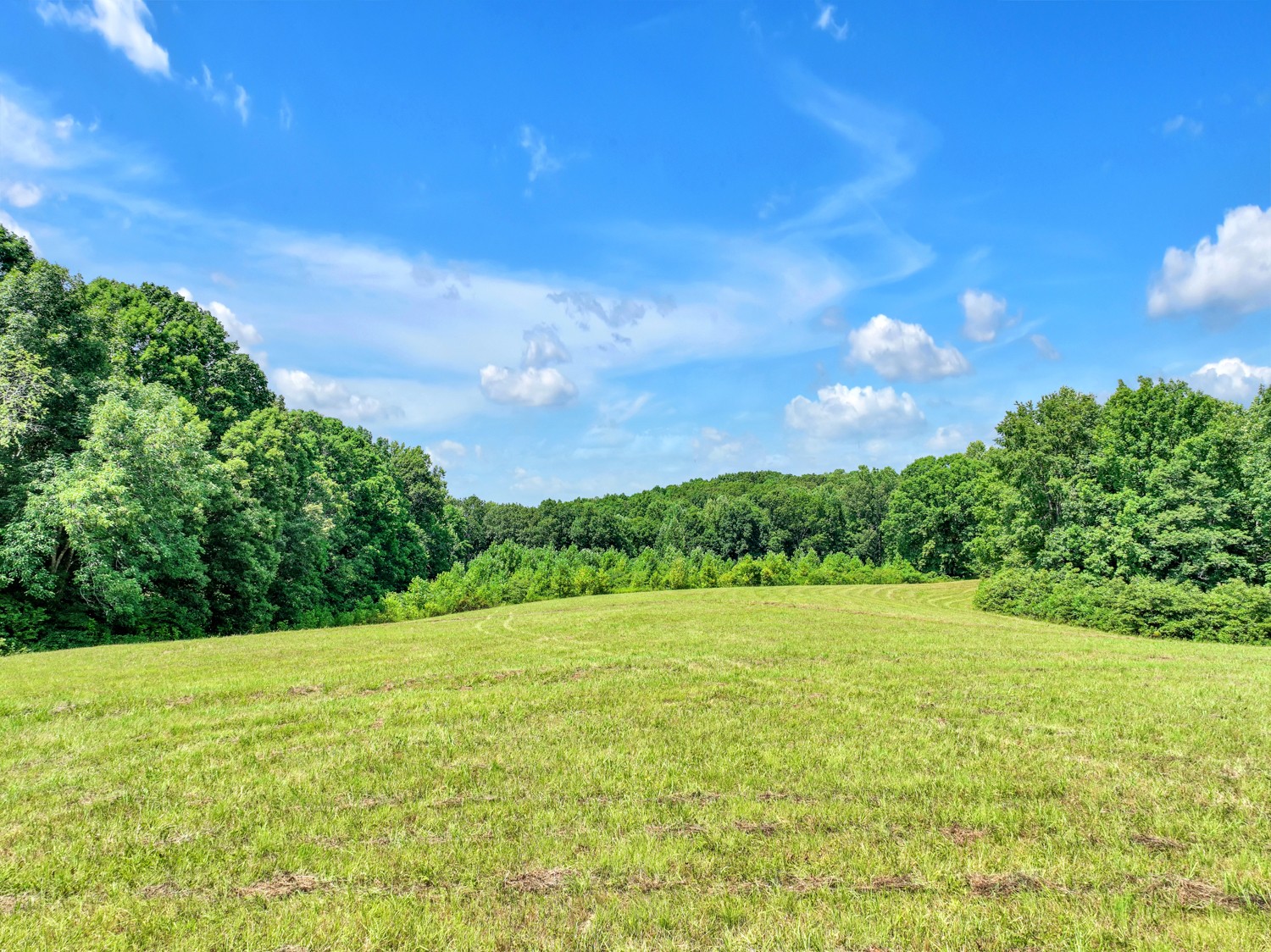 0 Coldwater Road Fairview, TN 37062 - Photo 7 of 14