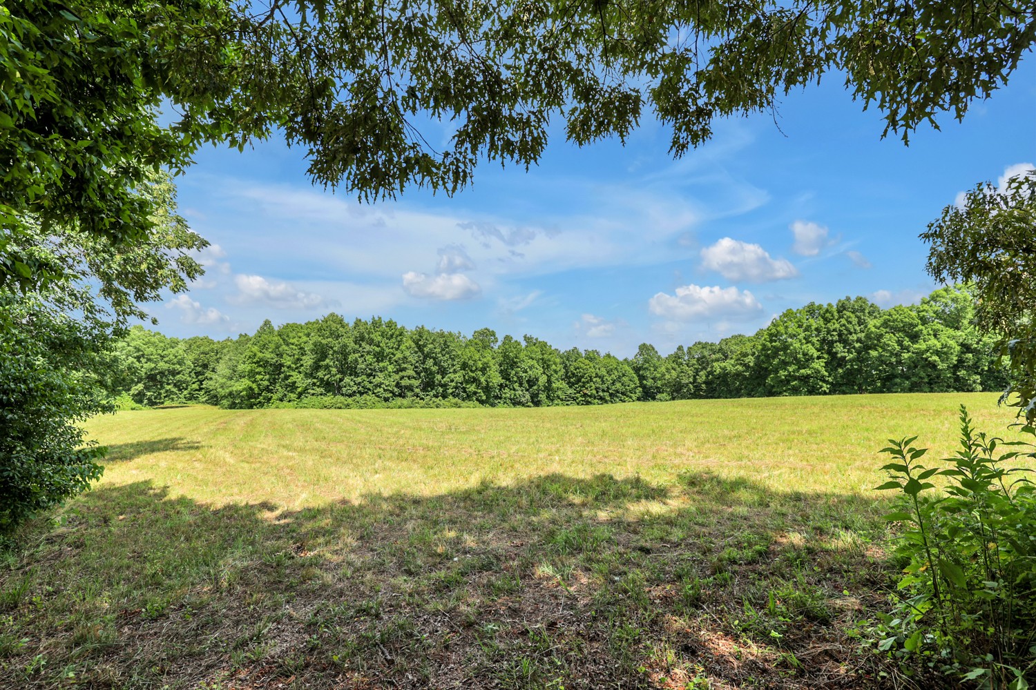 0 Coldwater Road Fairview, TN 37062 - Photo 8 of 14