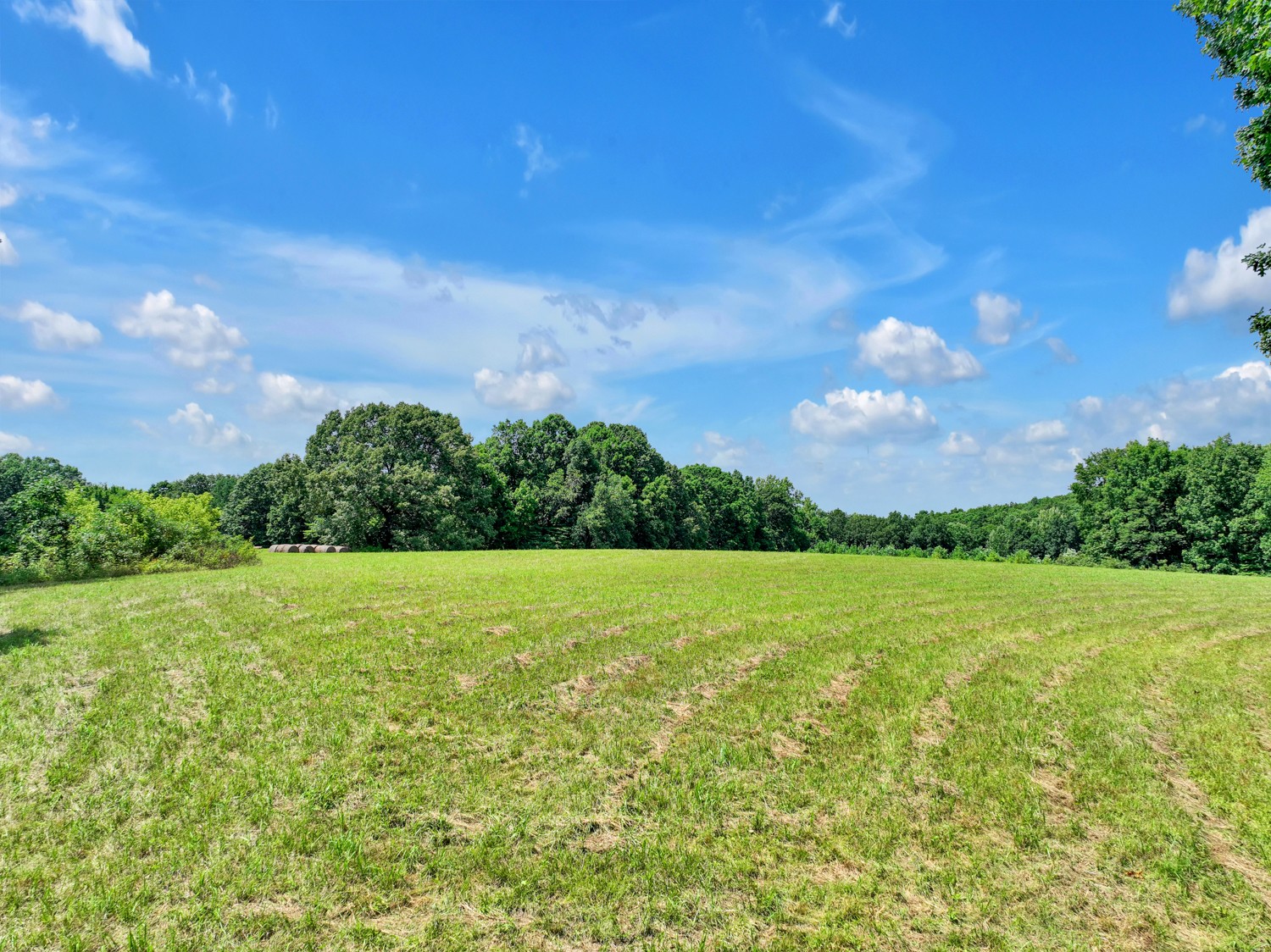 0 Coldwater Road Fairview, TN 37062 - Photo 9 of 14