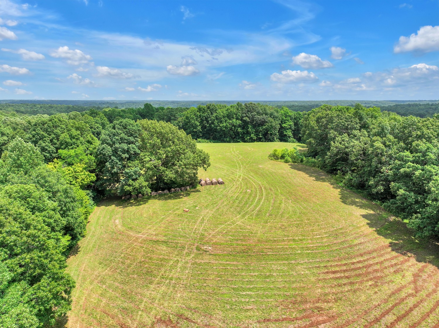 0 Coldwater Road Fairview, TN 37062 - Photo 10 of 14